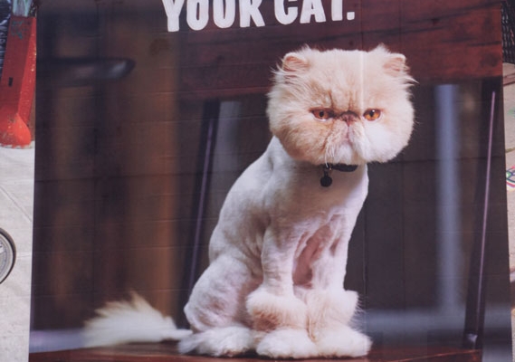 Suche den Fehler ... Felldesign statt Eisen und Stahl...