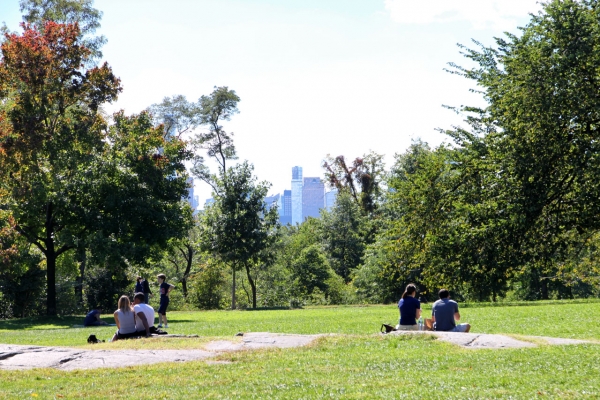 im Central Park - hier ganz ruhig ... haben wir eine tolle, bunte Gruppe gesehen, die Kindergeburtstag feierte